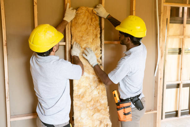 Professional Insulation in Hinckley, MN